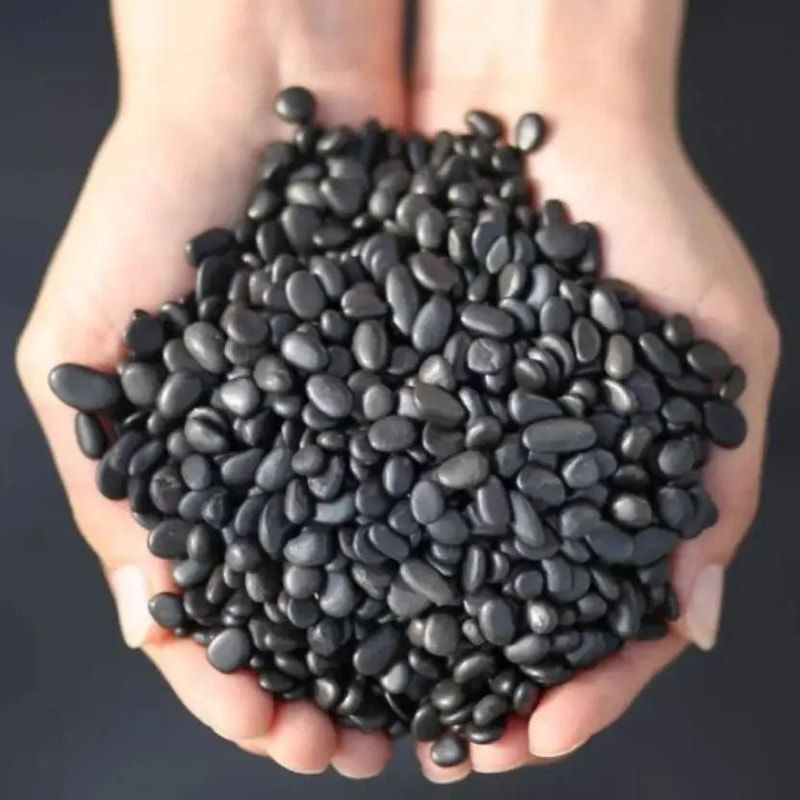 PureGuard Shungite Crystal Gravel 100g Natural Healing Stone Water Purifier 0