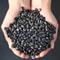 PureGuard Shungite Crystal Gravel 100g Natural Healing Stone Water Purifier 1