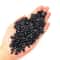 PureGuard Shungite Crystal Gravel 100g Natural Healing Stone Water Purifier 3