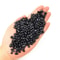 PureGuard Shungite Crystal Gravel 100g Natural Healing Stone Water Purifier 3