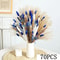 BlueAura Rabbit Tail Pampas Grass Bouquet 70 Stems Fluffy Dried Floral Decor 8