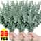Artificial Eucalyptus Stems Greenery Bundle For DIY Bouquets And Home Decor 0