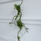 Artificial Rattan Vine Wall Hanging For Wedding And Rustic Home Decor 6