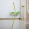 63Inch Floor Standing Flower Pole Base For Giant Paper Flower Displays And Event Decor 10