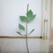 63Inch Floor Standing Flower Pole Base For Giant Paper Flower Displays And Event Decor 16