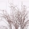120cm Artificial Willow Branch Elegant Faux Tree Stem For Home And Living Room Decor 5