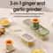 3 In 1 Ginger Garlic Grinder Manual Kitchen Slicer And Mincer Tool 0