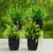 Artificial Bonsai Plant Mini Potted Green Tree Decor For Home And Office 4