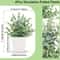 Artificial Bonsai Plant Mini Potted Green Tree Decor For Home And Office 10