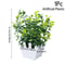 Artificial Bonsai Plant Mini Potted Green Tree Decor For Home And Office 11