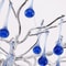 Modern Crystal Branch Chandelier Pink Blue Teardrop Ceiling Light 5