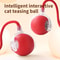 Smart Interactive Cat Ball Toy USB Rechargeable Electric Rolling Teaser With Tail 2