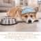Anti Choking Slow Feeder Dog Bowl Lick Mat Non Slip Treat Feeding Toy 2