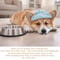 Anti Choking Slow Feeder Dog Bowl Lick Mat Non Slip Treat Feeding Toy 2