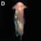 DIY Jellyfish Hanging Night Lamp For OceanThemed Bedroom Decor 10