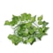 LED Green Ivy Vine Garland Lights For Bedroom Wedding Decor 8
