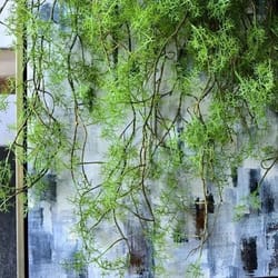 artificial hanging green vine wall decor rattan for home & hotel styling