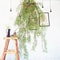 Artificial Hanging Green Vine Wall Decor Rattan For Home Hotel Styling 2