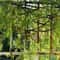Artificial Hanging Green Vine Wall Decor Rattan For Home Hotel Styling 5