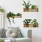 3PCS Green Plant Wall Stickers Removable Potted Wall Decals For Living Room Bedroom 0