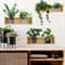 3PCS Green Plant Wall Stickers Removable Potted Wall Decals For Living Room Bedroom 3
