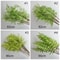 Real Touch Artificial Fern Branches Elegant Faux Greenery For Home Wedding Decor 5