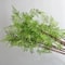 Real Touch Artificial Fern Branches Elegant Faux Greenery For Home Wedding Decor 7