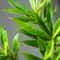 Large Artificial Palm Tree Tropical Leaf Decor For Home And Wedding Styling 5