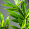 Large Artificial Palm Tree Tropical Leaf Decor For Home And Wedding Styling 5