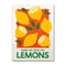Retro Strawberry Lemon Cocktail Canvas Wall Art Print For Kitchen Bar Decor 9
