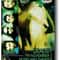 Deftones Around The Fur Retro Album Canvas Poster For Music Room Wall Decor 10