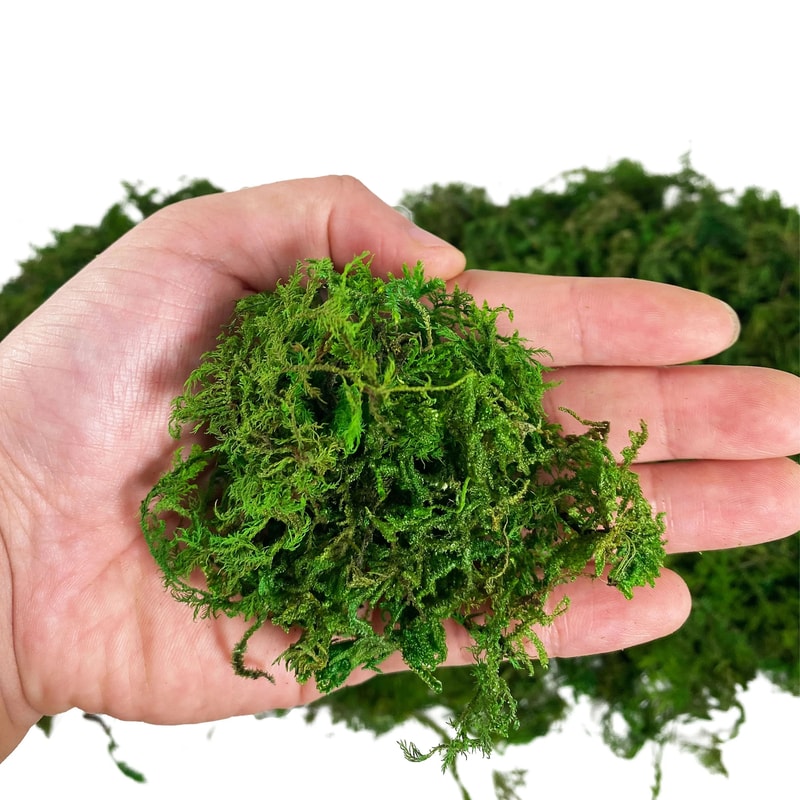 Artificial Green Moss Decor For Potted Plants DIY Centerpieces 3