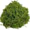 Artificial Green Moss Decor For Potted Plants DIY Centerpieces 8