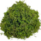 Artificial Green Moss Decor For Potted Plants DIY Centerpieces 8