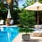 Artificial Fan Leaf Palm Tree Branches For Tropical Home Event Decor 3