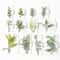 10PCS Artificial Green Leaf Garland Decor For Weddings Parties DIY Crafts 6