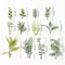 10PCS Artificial Green Leaf Garland Decor For Weddings Parties DIY Crafts 6