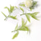 10PCS Artificial Green Leaf Garland Decor For Weddings Parties DIY Crafts 22
