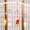 Handmade Japanese Sakura Glass Wind Bell Furin For Home Spa Zen Decor 3