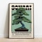 Retro Japanese White Pine Bonsai Canvas Wall Art 0