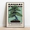Retro Japanese White Pine Bonsai Canvas Wall Art 5