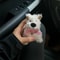 Cute Plush Puppy Steering Column Decor For Tesla Benz And Car Interior Accessories 1