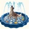 Heavy Duty Outdoor Pet Bath Basin With Water Spray Cooling Function 0
