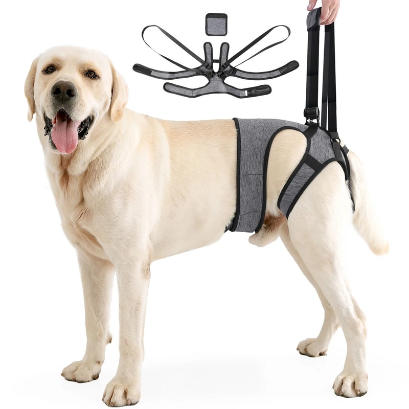 Adjustable Dog Lift Harness Sling For Hind Leg Support Walking Assistance 8