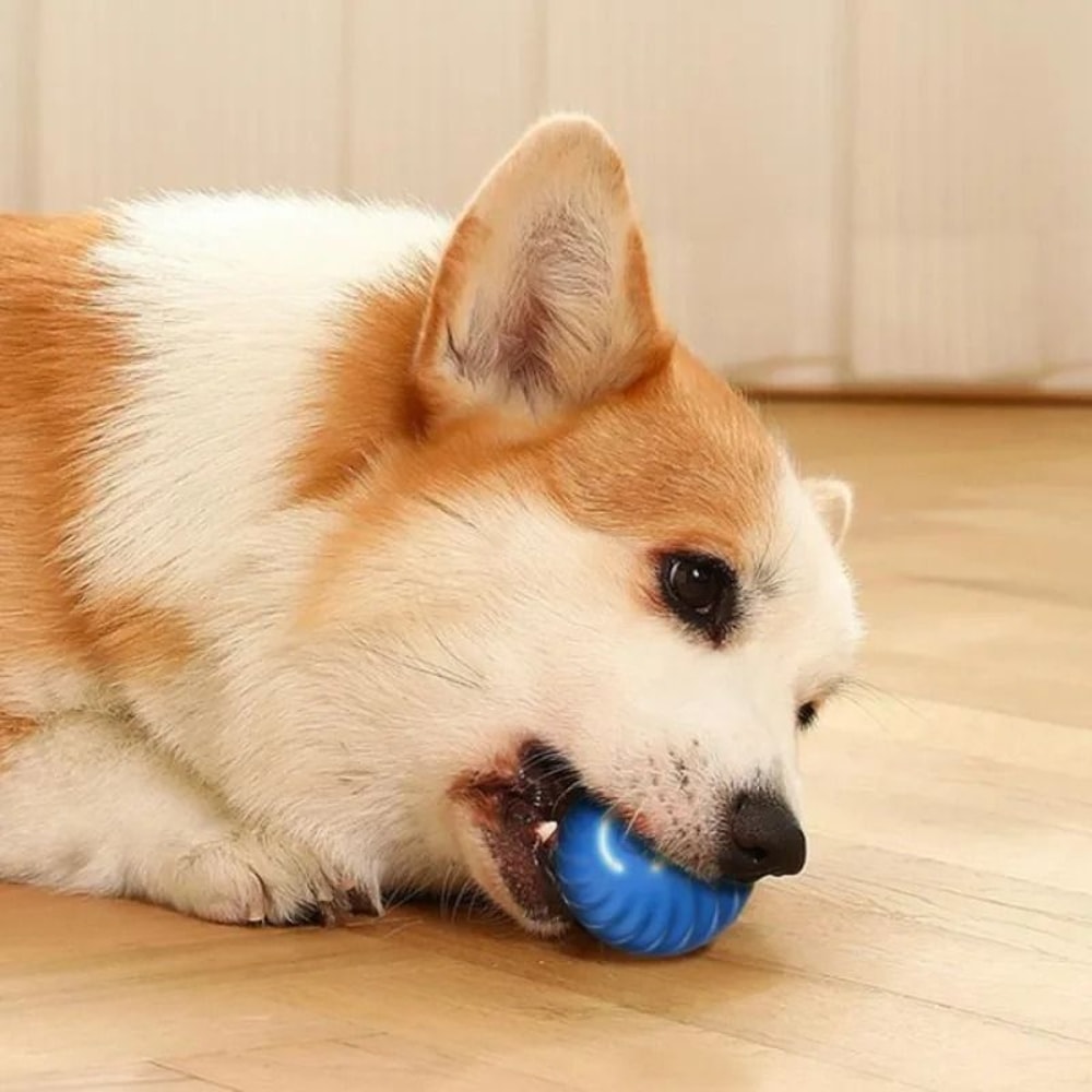 Smart USB Interactive Moving Dog Ball Toy For Puppies Active Pets 3