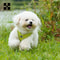 Adjustable Reflective Dog Harness Leash Set For Small Medium Pets 4