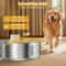 Petavista 8L Wireless Stainless Steel Dog Water Fountain With Smart Sensor 5