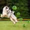 Interactive Wobble Giggle Ball Dog Toy For Active Play Mental Stimulation 4
