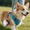 2in1 Portable Stainless Steel Dog Water Bottle With Silicone Drinking Bowl 5