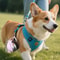 2in1 Portable Stainless Steel Dog Water Bottle With Silicone Drinking Bowl 5
